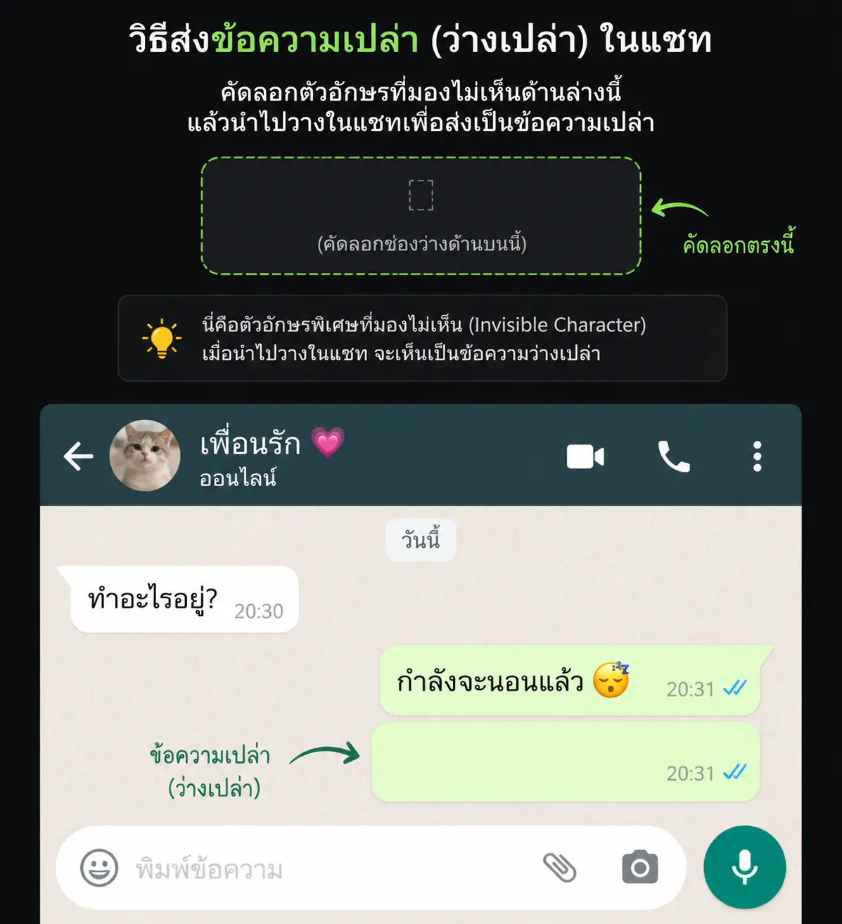 ตัวอย่างตัวอักษรมองไม่เห็นสำหรับชื่อเกม ไบโอ และข้อความว่าง